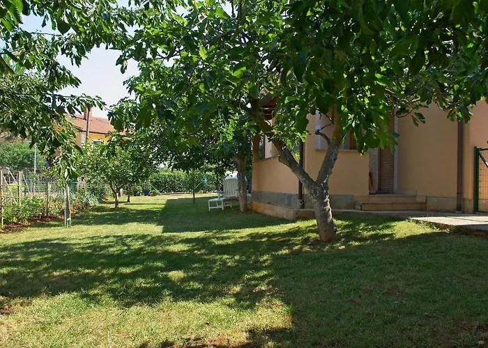 Konukevi & Barbara Umag