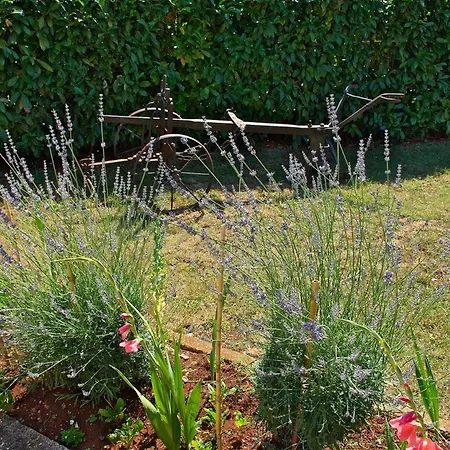 Gæstehus & Barbara 3*