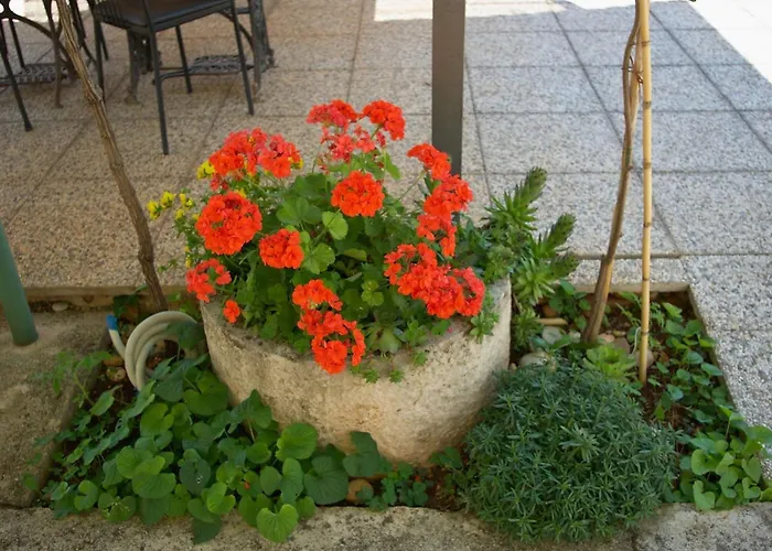 Vendégház & Barbara Umag