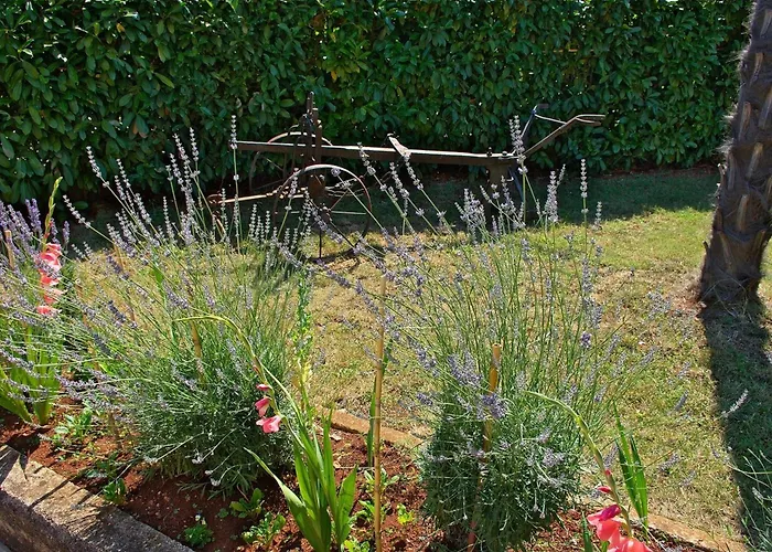 Vendégház & Barbara 3*