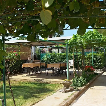 בית הארחה & Barbara אומאג